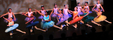 All in The Dance, Toronto, Ballet, Youth, Education
